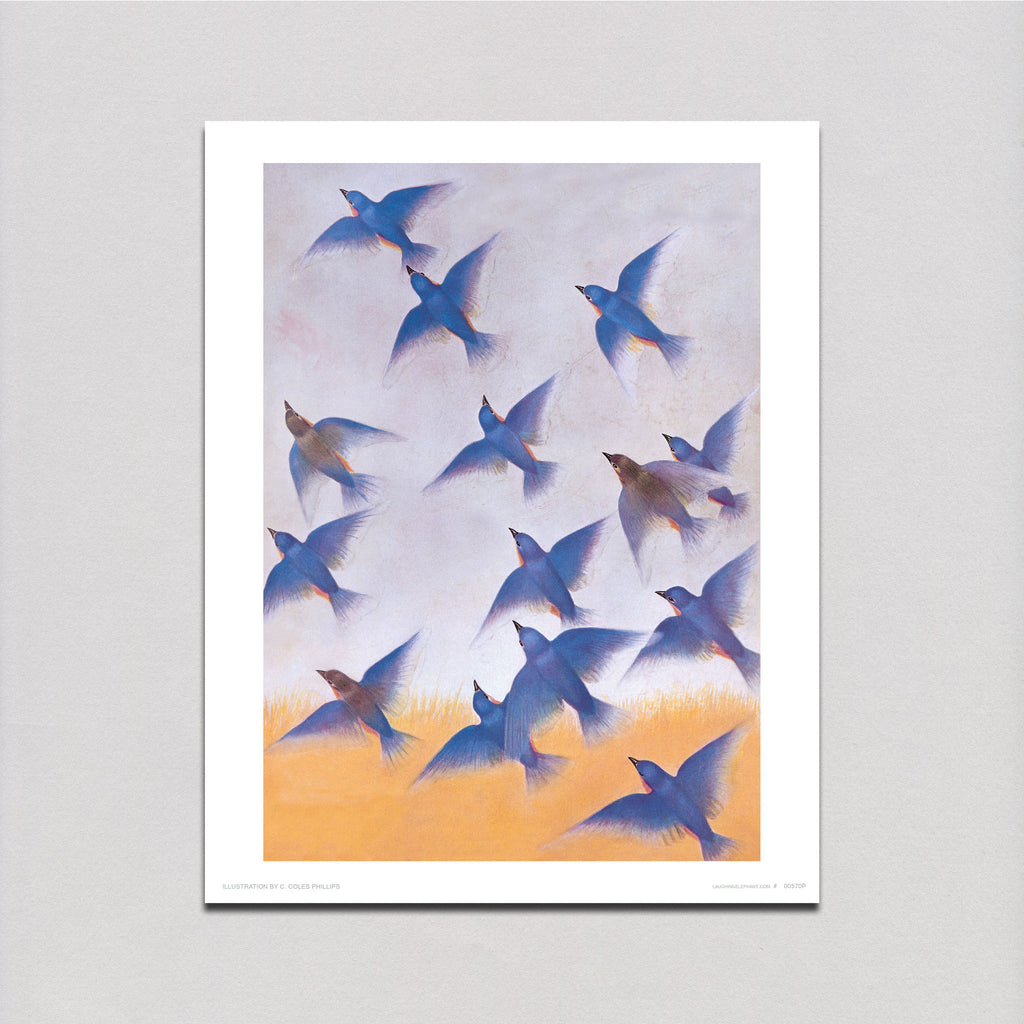 Birds in Flight - Nature's Beauty Art Print