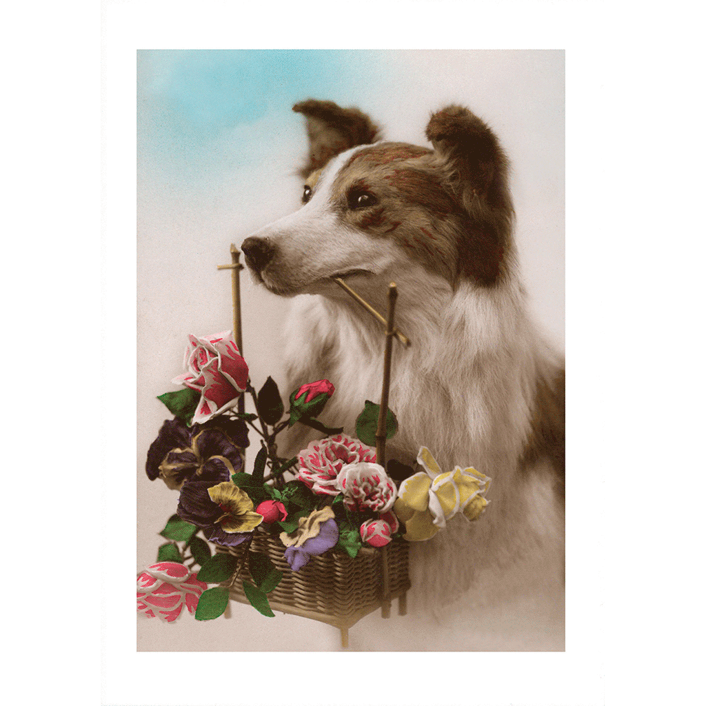 Dog with Flower Basket - Delightful Dogs Greeting Card