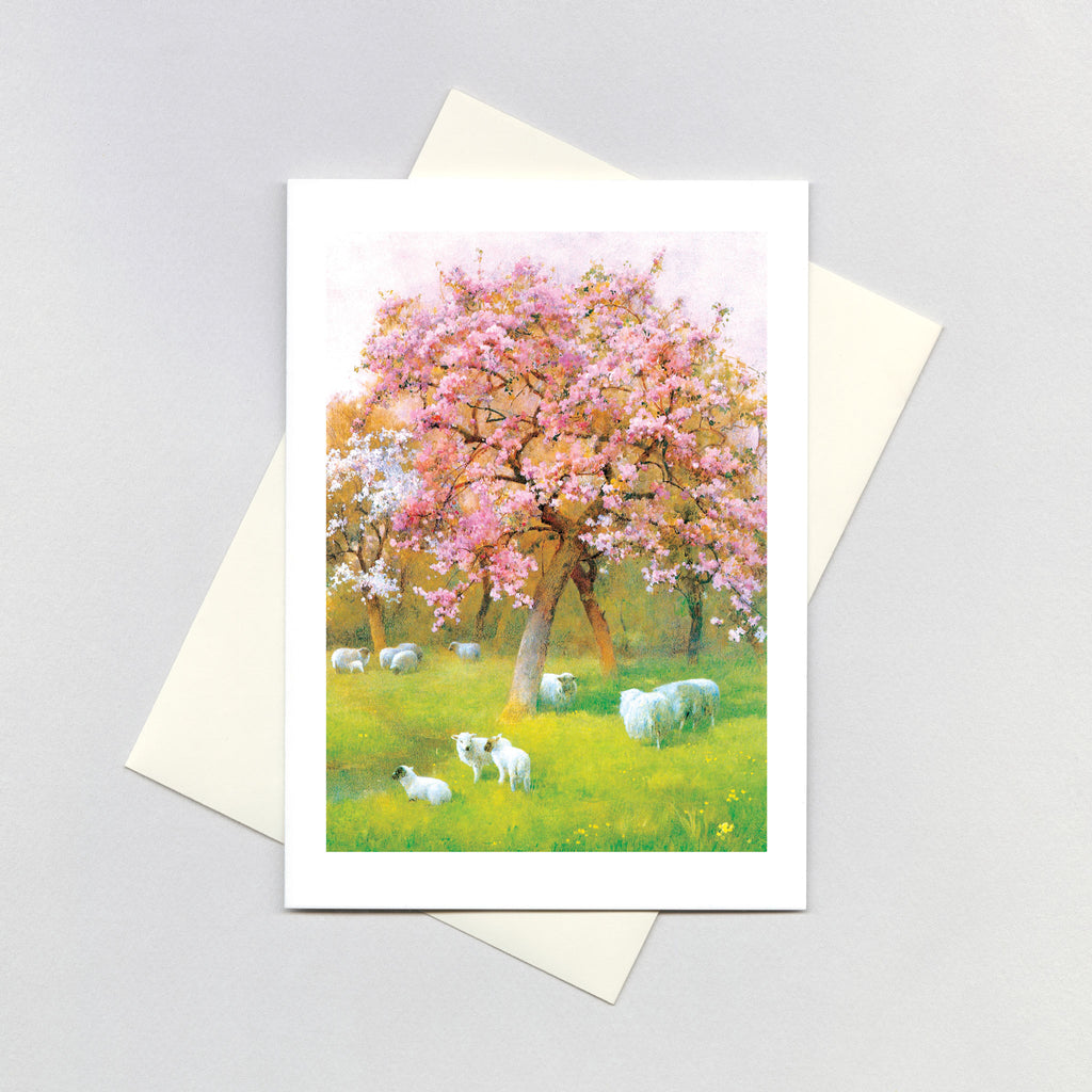 Sheep Beneath a Blossoming Tree - Nature's Beauty Greeting Card