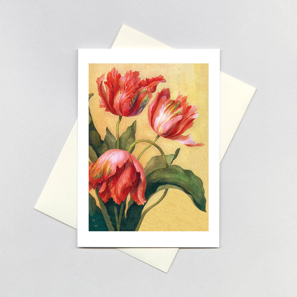 Tulips - Thank You Greeting Card