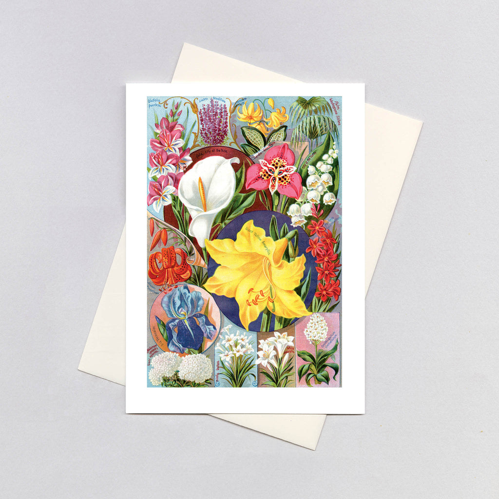 Spring Flowers - Flowers Greeting Card