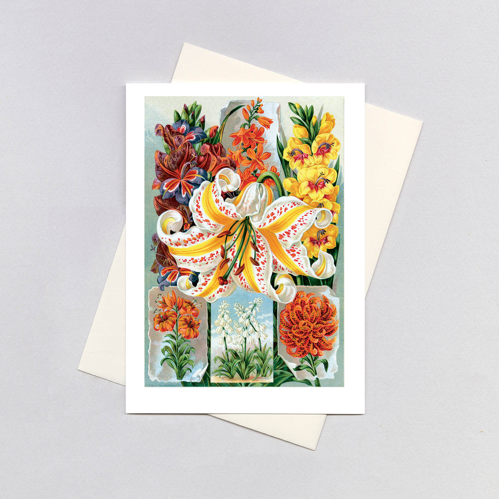 Lilies - Flowers Greeting Card