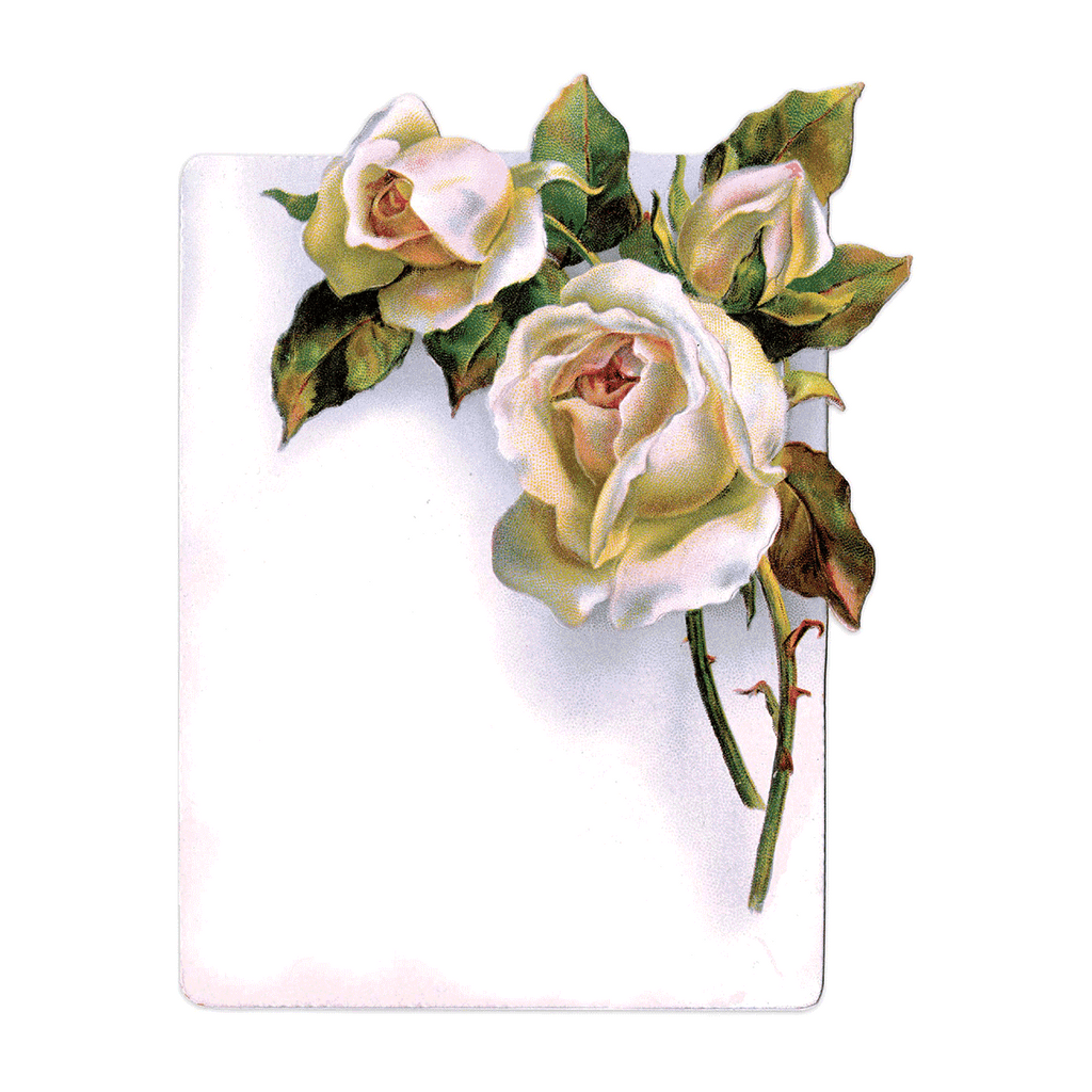Antique Roses Postcard Box - 36 Vintage Postcards