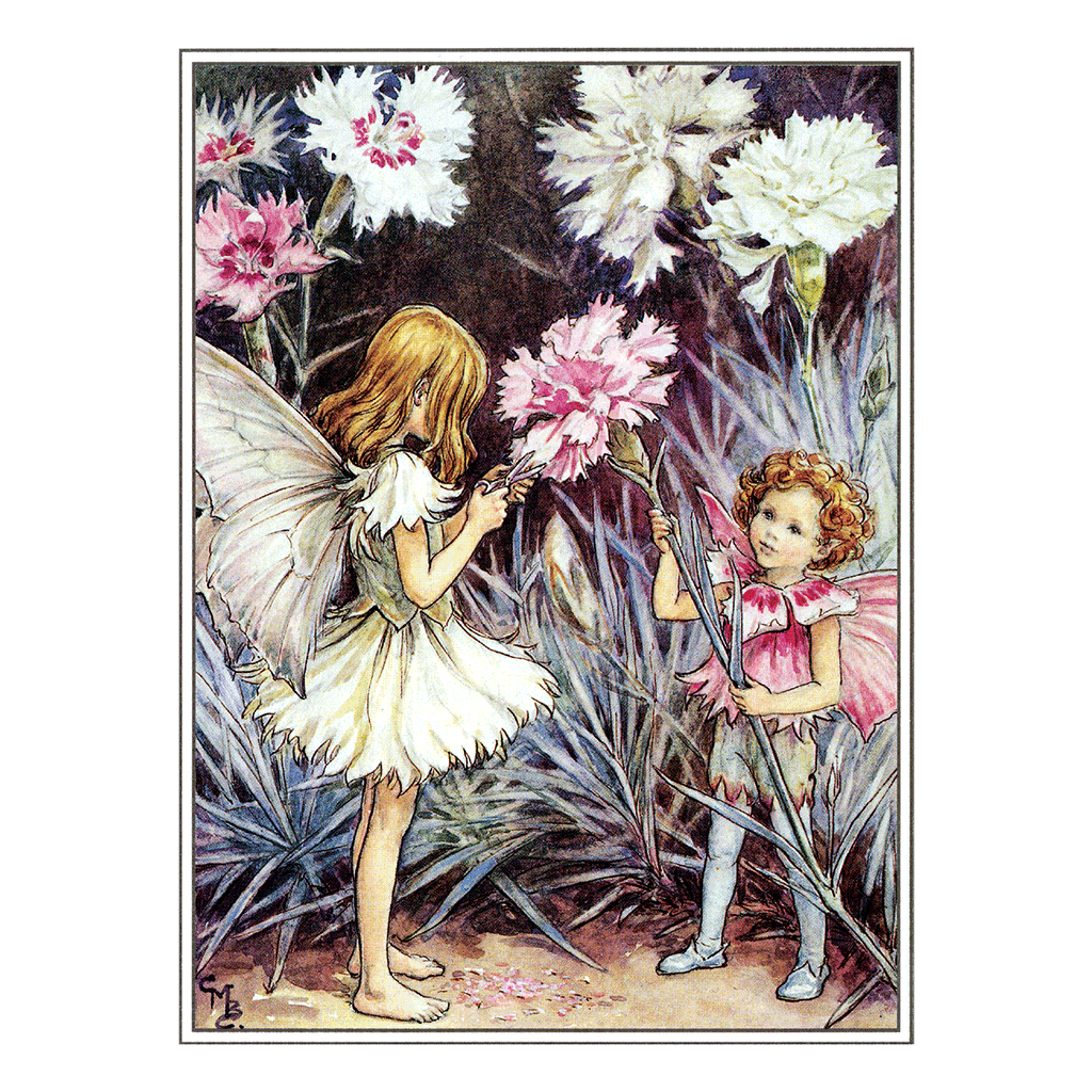Flower Fairies - Everyday Boxed Postcards – Laughing Elephant
