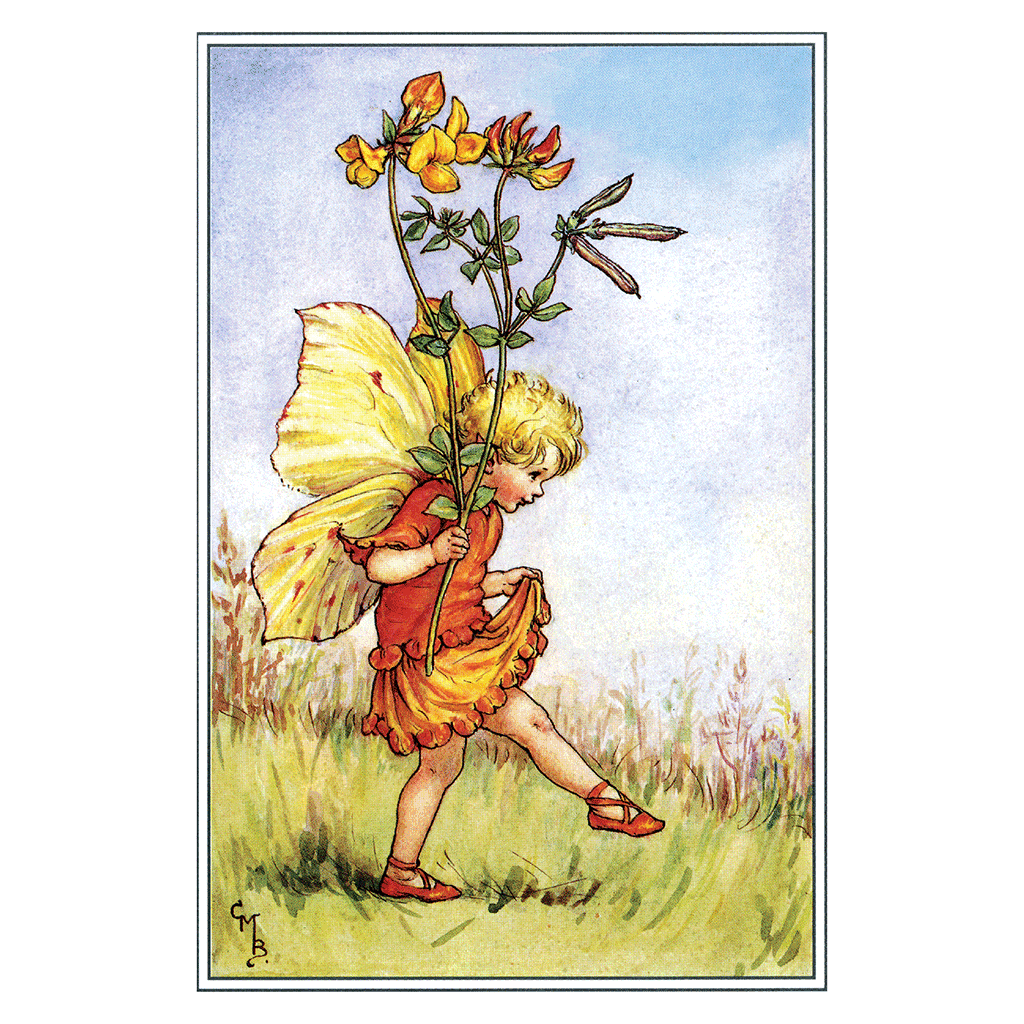 Flower Fairies - Everyday Boxed Postcards – Laughing Elephant
