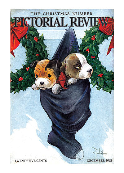 Puppies in a Christmas Stocking - Christmas Greeting Card