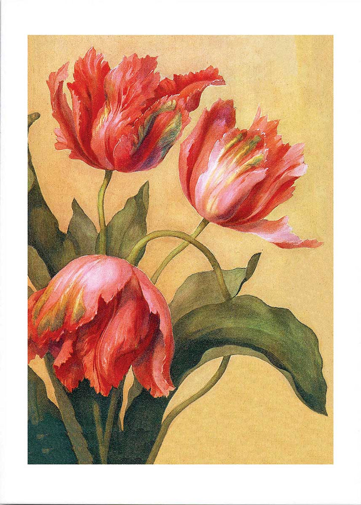 Double Tulips - Thank You Greeting Card