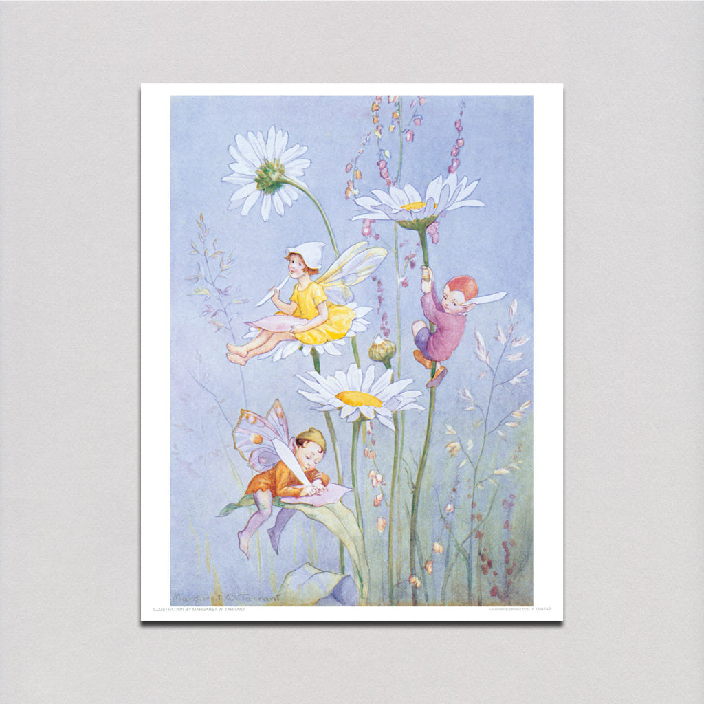 Little Fairies Among the Daisies - Fairies Art Print