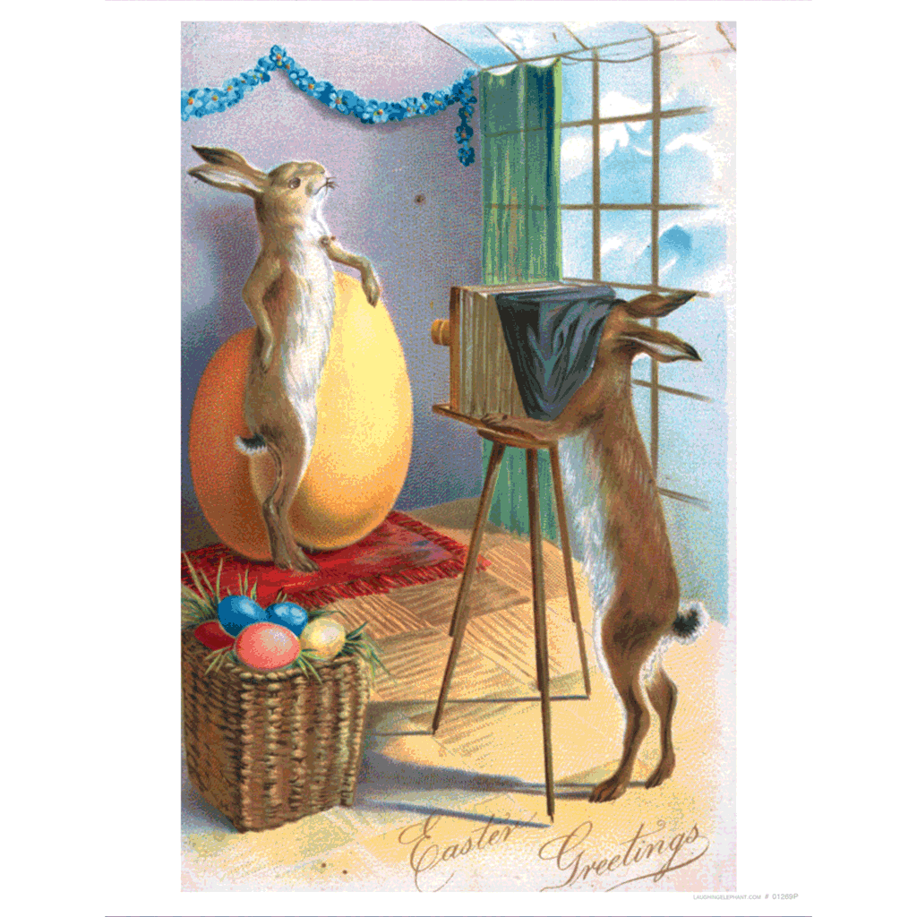 Rabbit Taking Photo - Easter Art Print