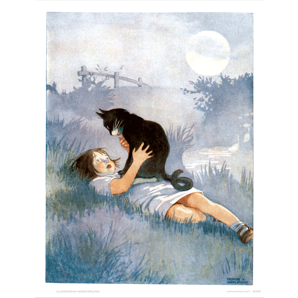 A Girl Talking To Her Cat - Animal Friends Art Print