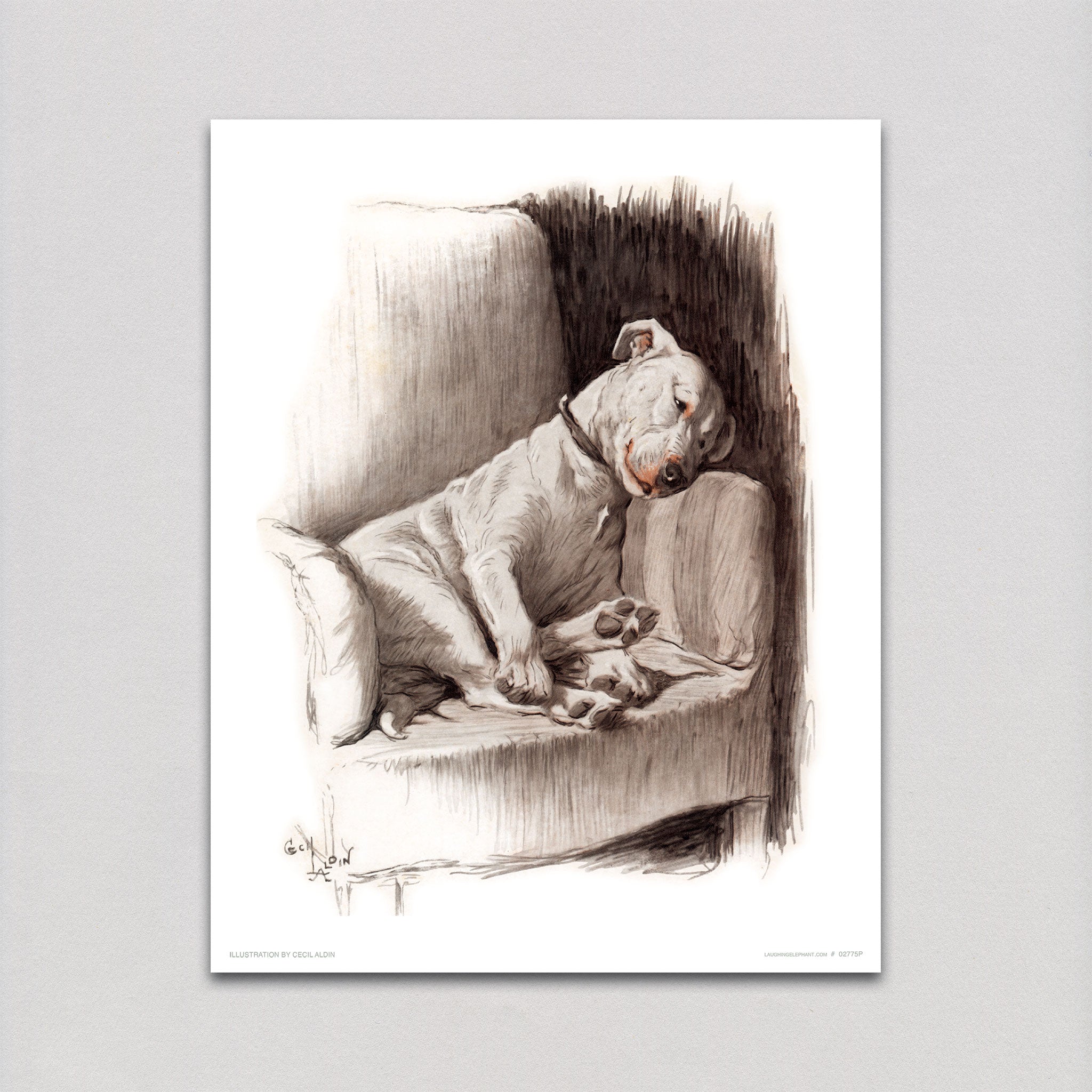 Delightful Dogs - Art Prints – Laughing Elephant