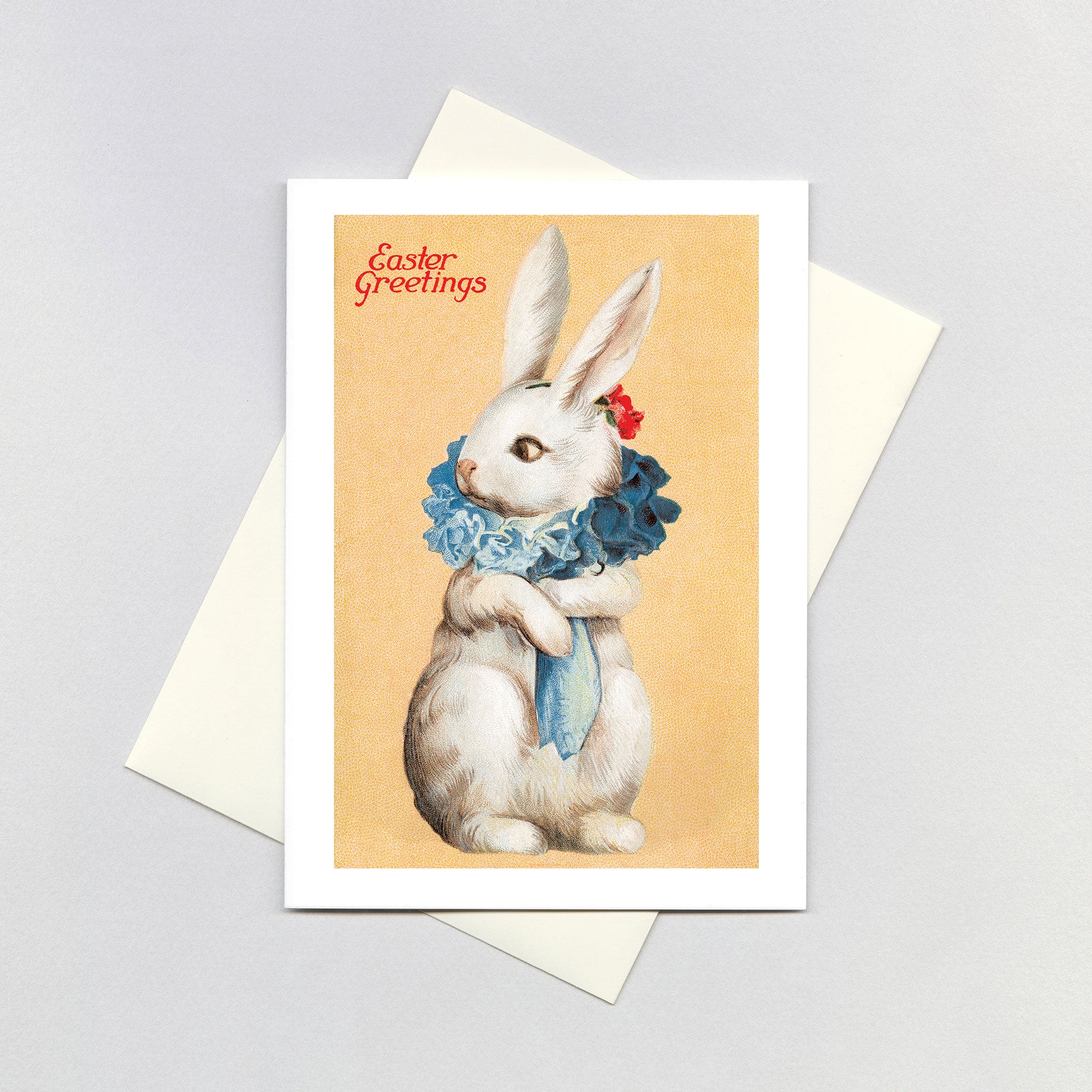 Ruff Rabbit Logo Ruff Rabbit Logo Rabbit In Collar Hi Res Stock Photography And Images
