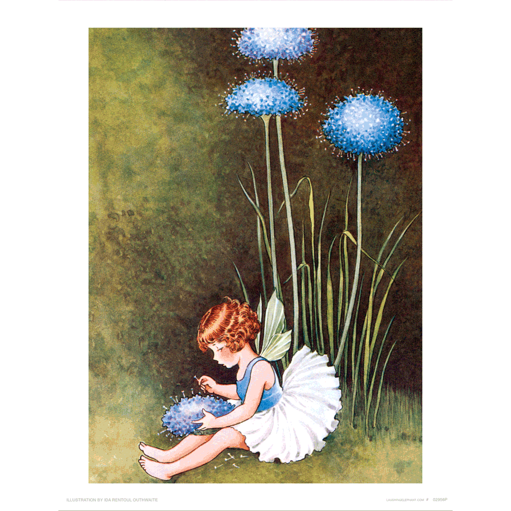 Pincushion Flower Fairy - Fairies Art Print