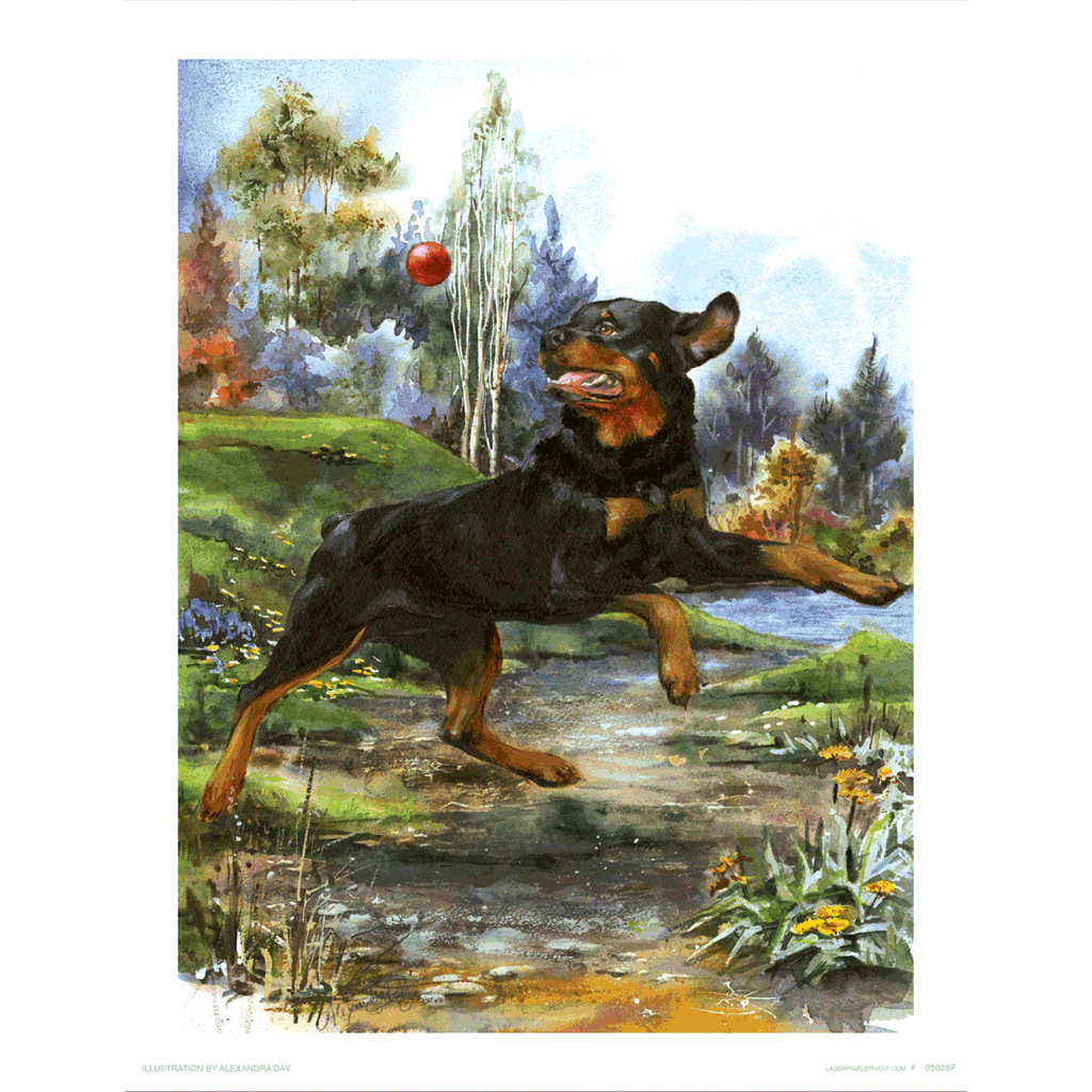Carl Catching Ball - Good Dog, Carl Art Print