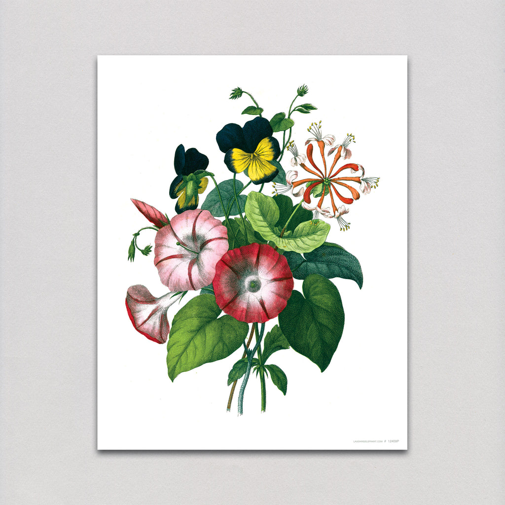 Morning Glory Bouquet - Flowers Art Print