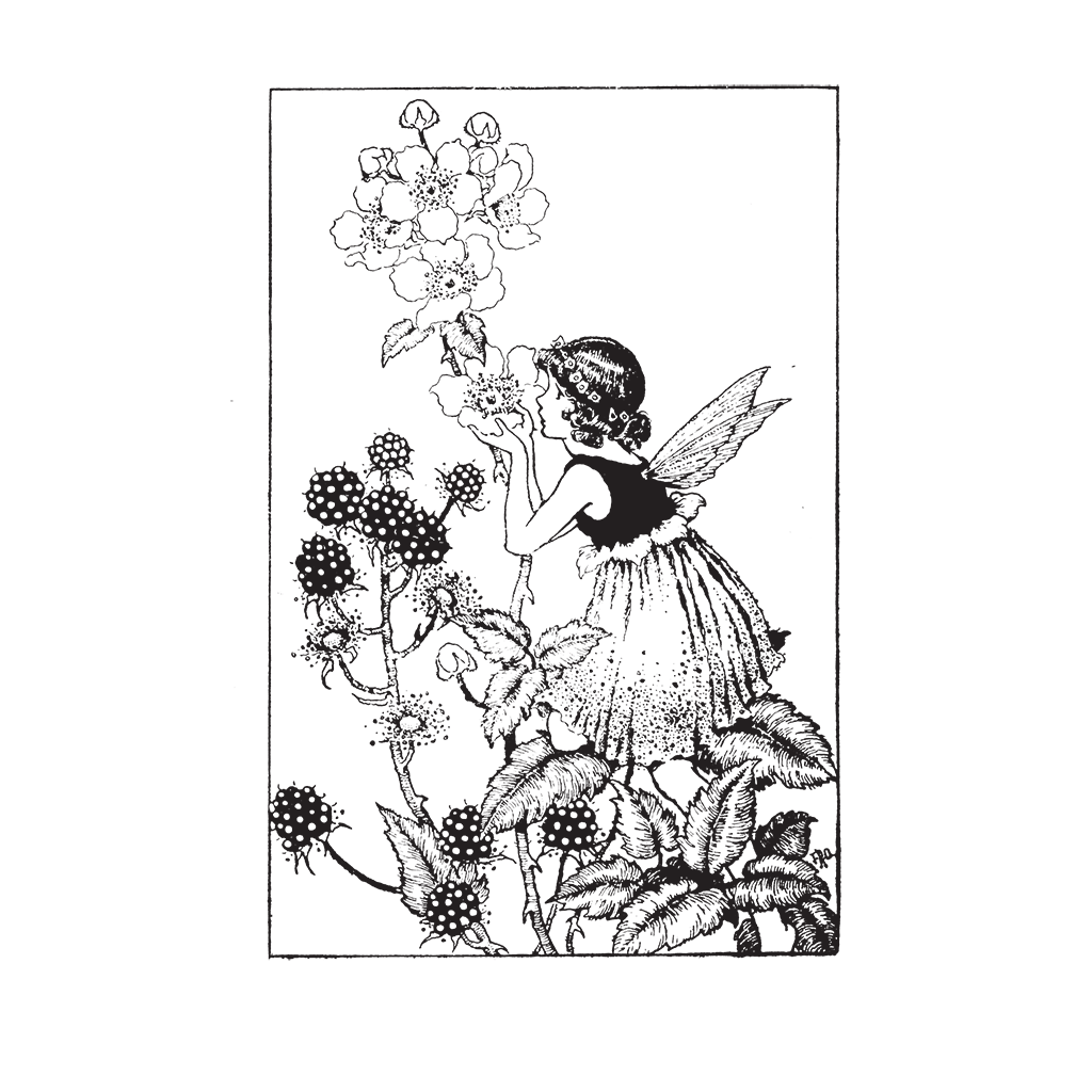 Fairies - Cards to Color Greeting Cards