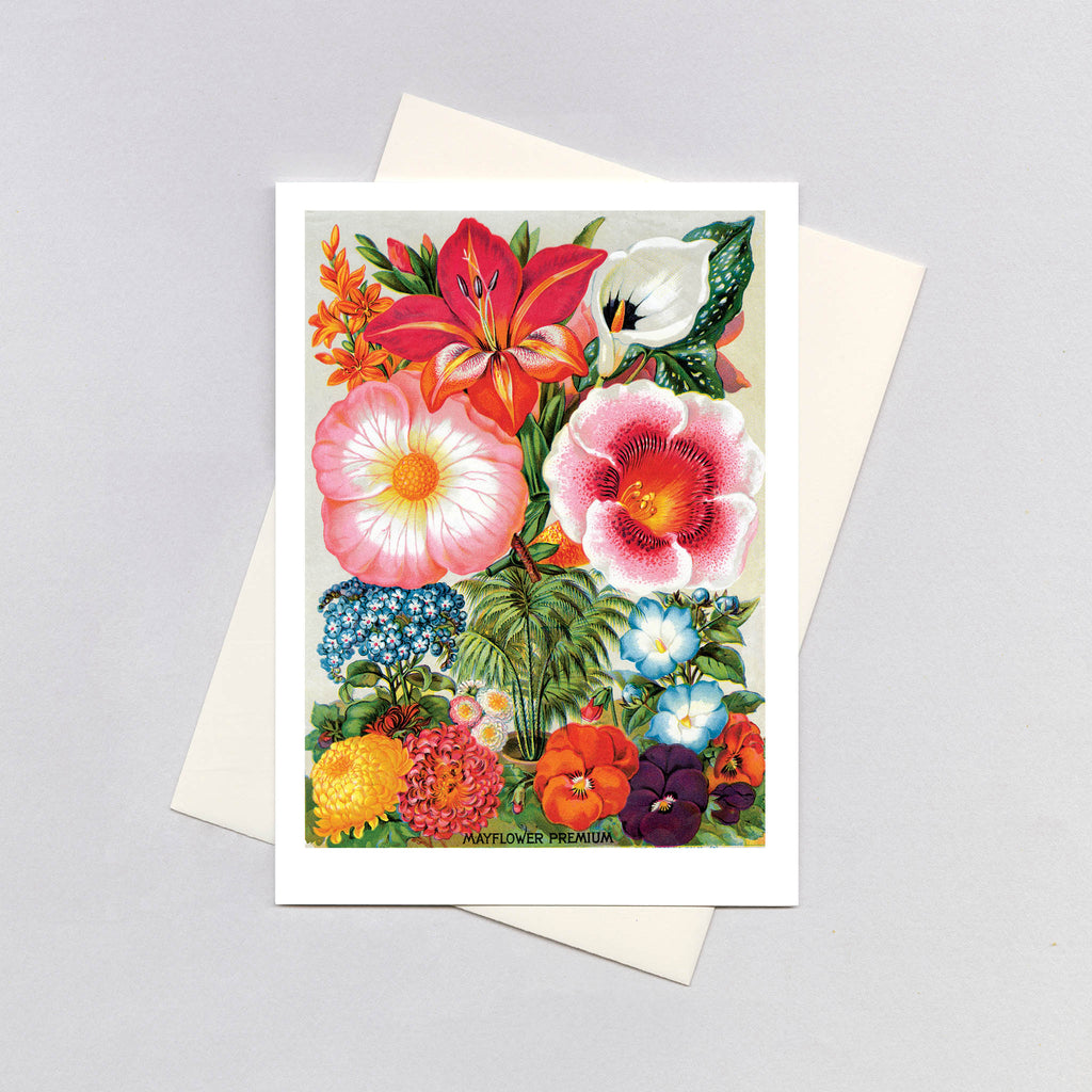Summer Flowers - Flowers Greeting Card