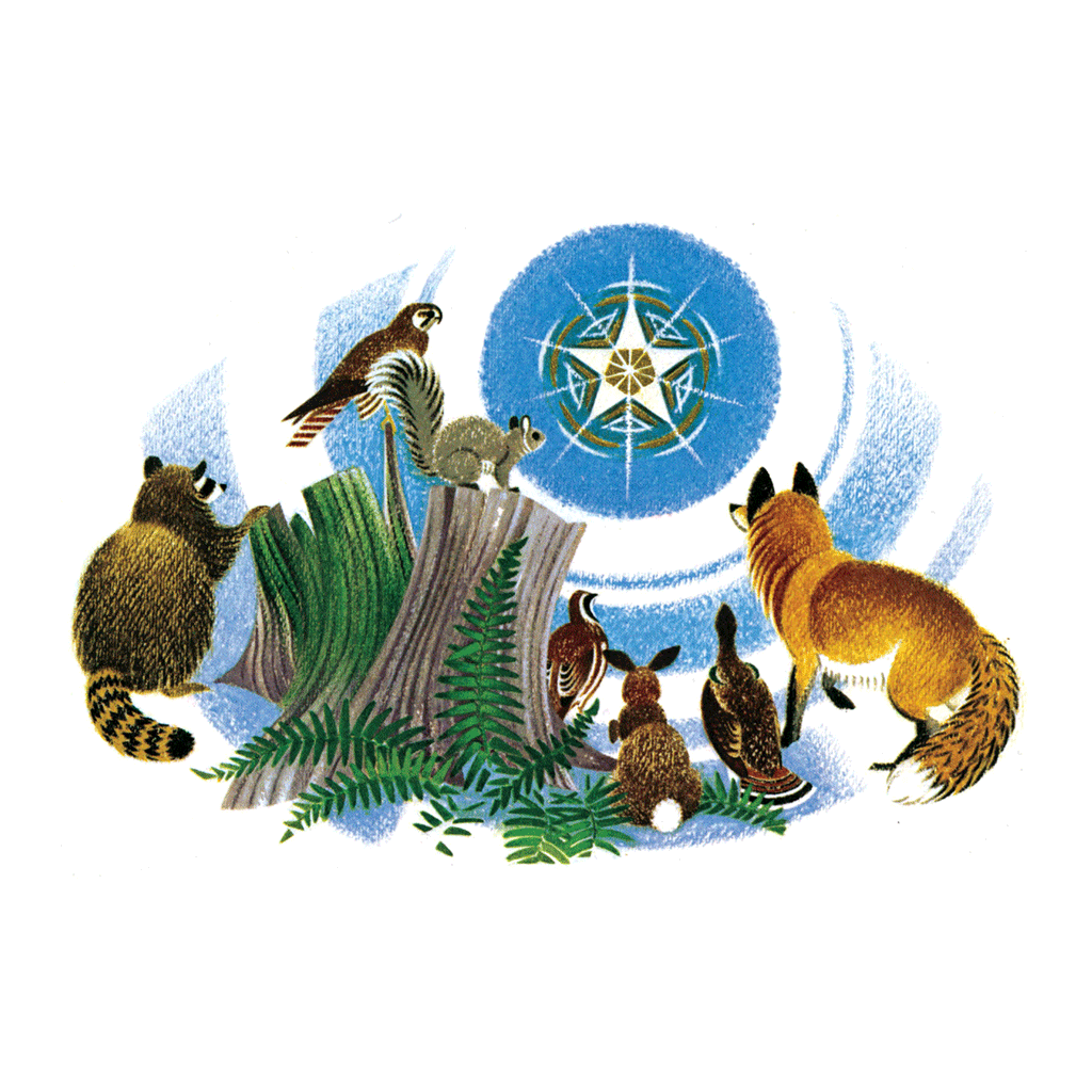 Animals Watching the Christmas Star - Christmas Greeting Card