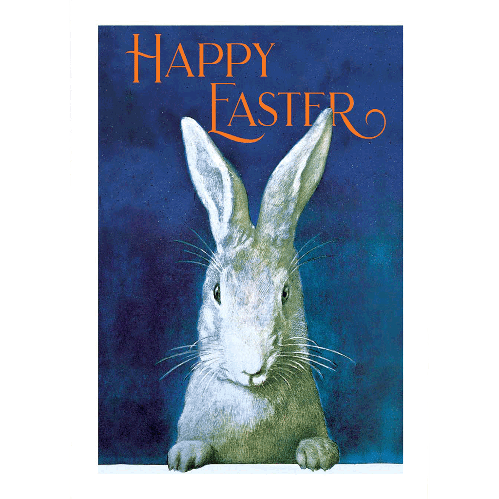 Rabbit Looking - Easter Greeting Card