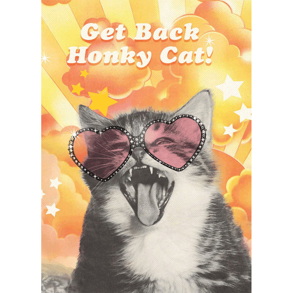 Honky Cat - Thinking of You Greeting Card