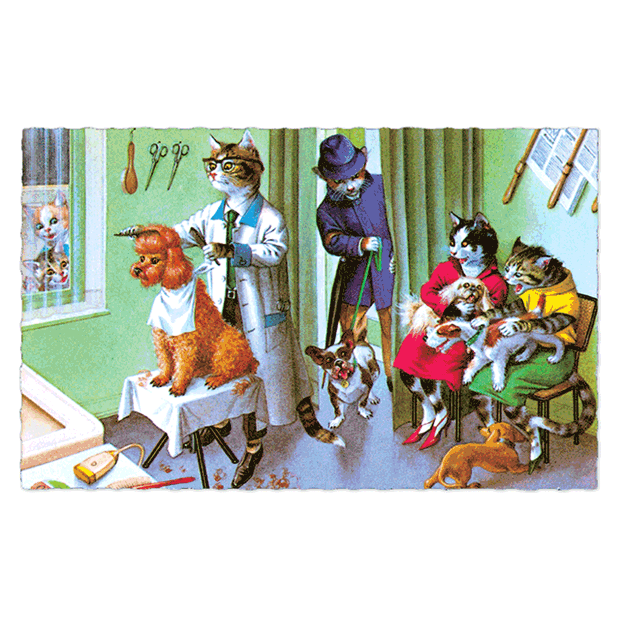 Delightfully Dressed Cats Postcard Box - Everyday Boxed Postcards