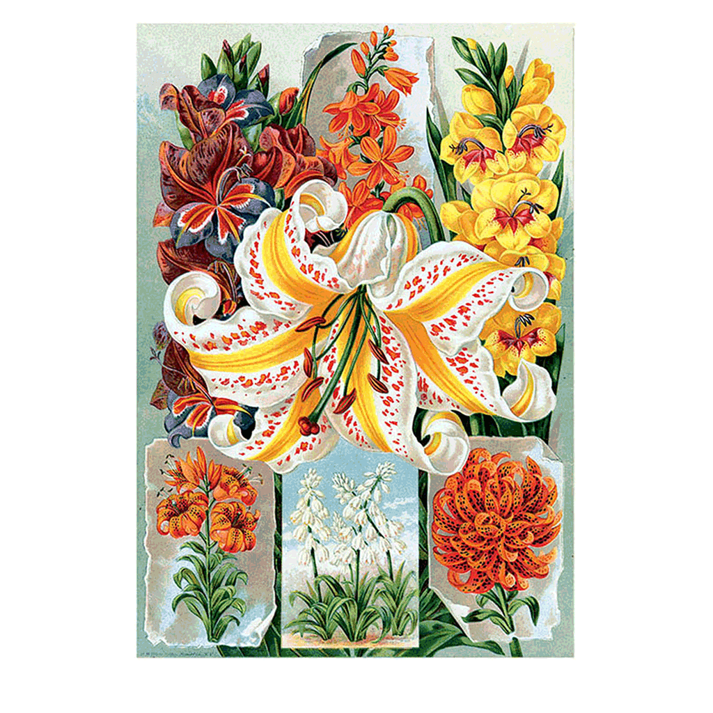 Vintage Flowers Prints: Set One - Art Print Set