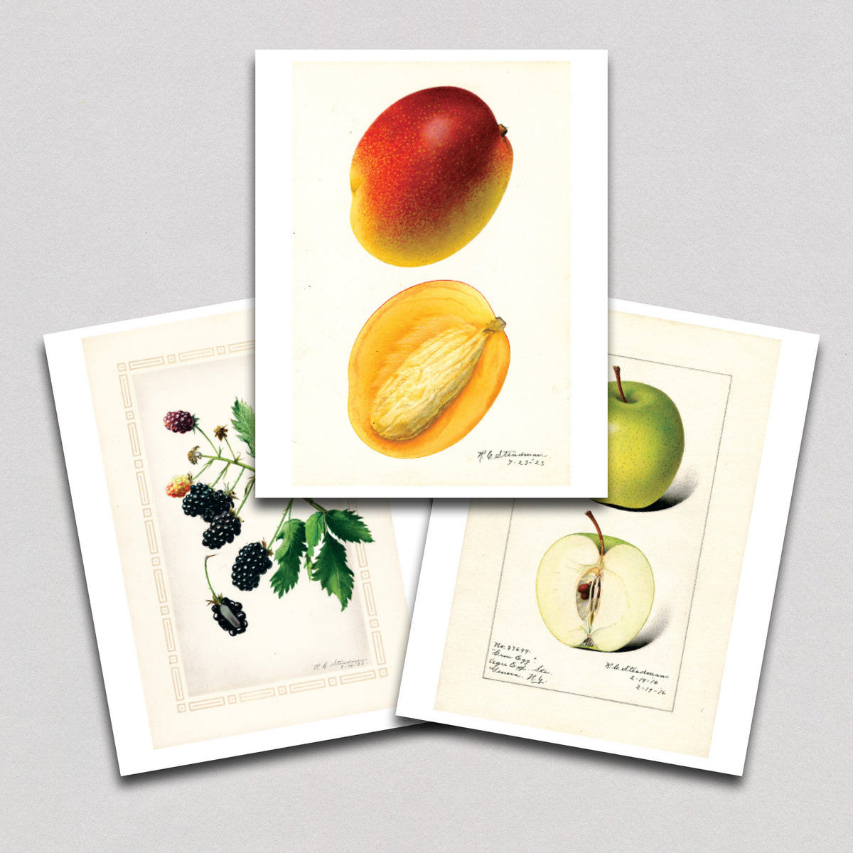 Fabulous Fruits Prints: Set Four - Art Print Set – Laughing Elephant