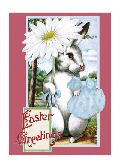 Easter Rabbit With Daisy - Easter Greeting Card