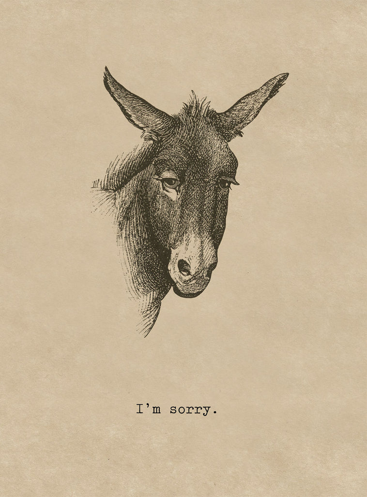 Sorry Donkey - Friendship Greeting Card