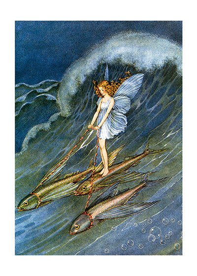 Fairy Riding Fish - Fairies Greeting Card