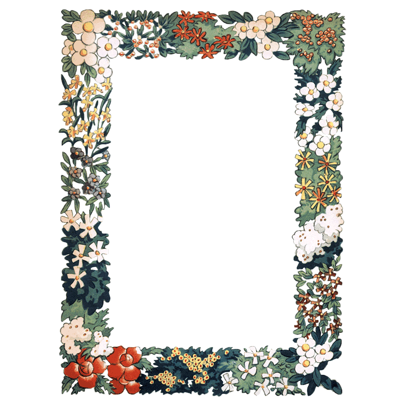 Decora Border Colored Decorative Border