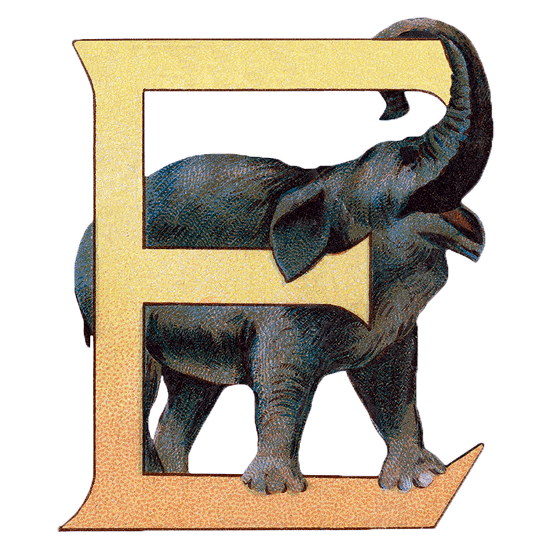 Animal Alphabet  - Everyday Sticker Box