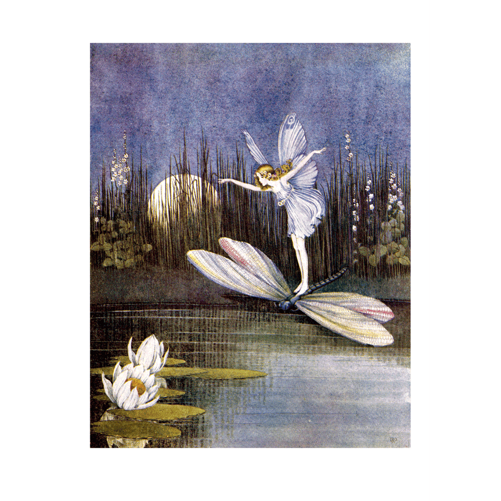 Enchanting Fairies - Everyday Boxed Greeting Cards
