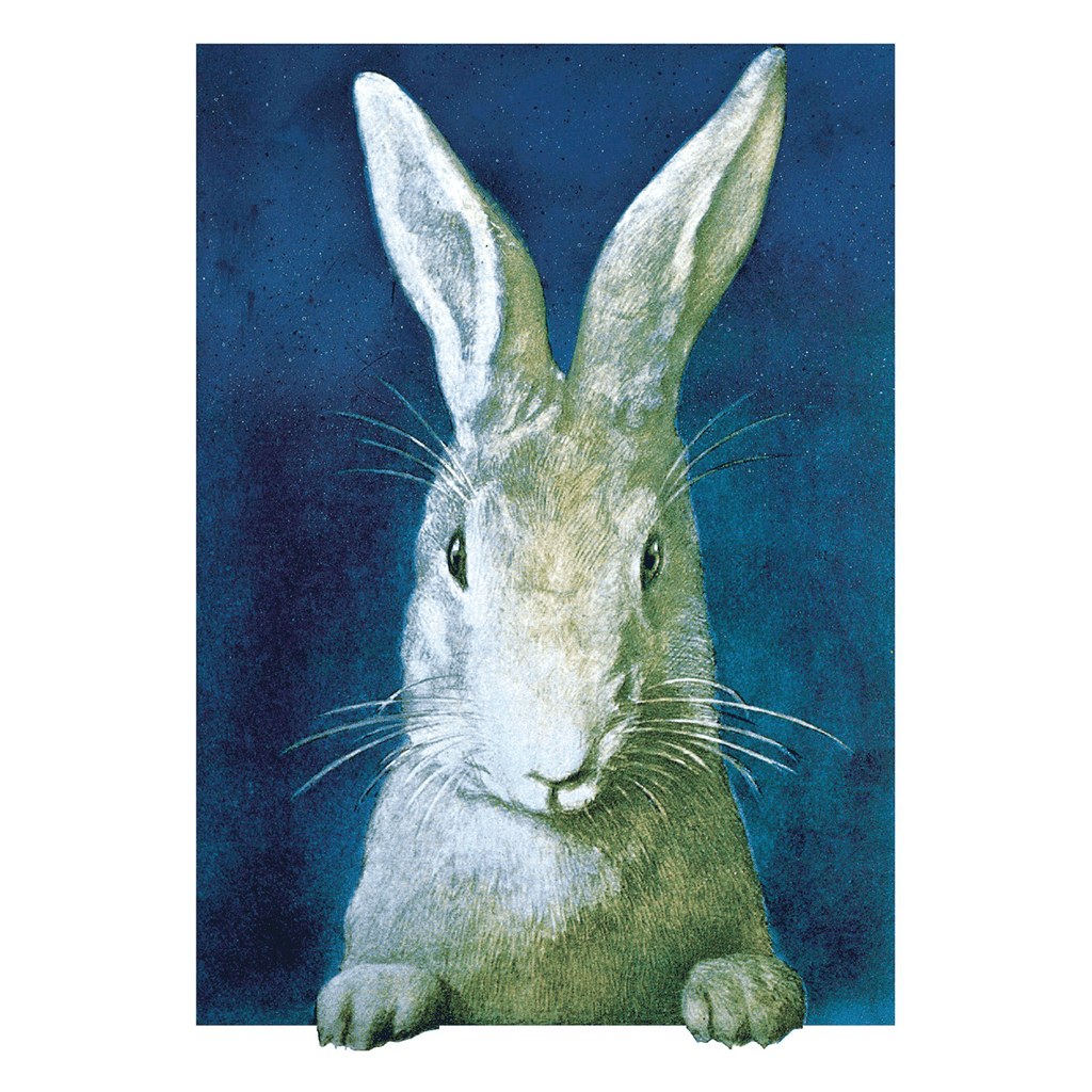 Bunny Box - Boxed Easter Greeting Cards